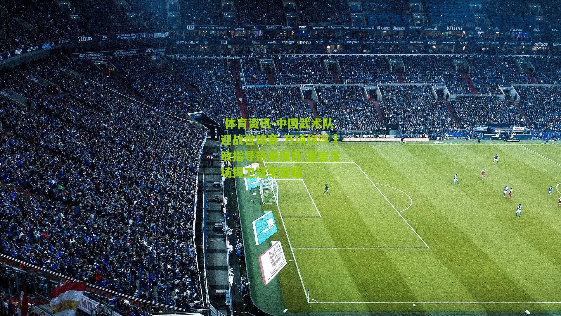 中国武术队迎战世锦赛 万项称浮嶋敏指导带来提升 誓言主场捍卫冠军荣耀